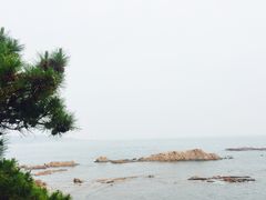 -青岛第二海水浴场