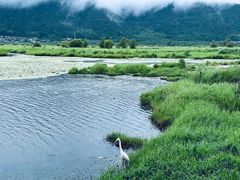 -腾冲北海湿地