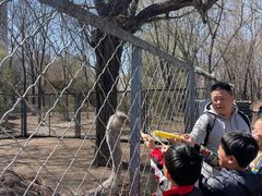 -长白岛森林公园