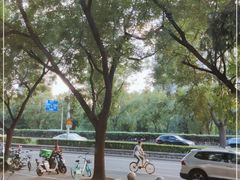 -紫光园(劲松店)