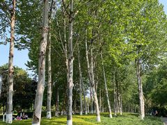 -重庆中央公园(渝北区)