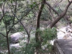 -房干生态旅游风景区