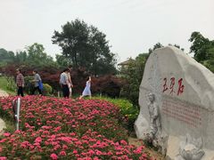 -铁山坪森林公园