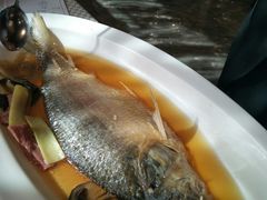 -望乡楼上海菜(日月光店)