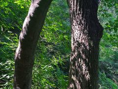 -终南山南五台景区