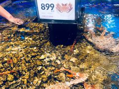 -盒马鲜生(岭南新世界店)