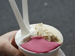 -Dip in Gelato(富民路店)