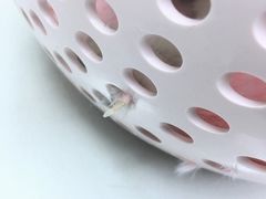 -关爱宠物医院·猫科中心·消化科(滨湖万达分院)