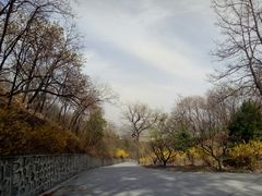 -北京鹫峰国家森林公园