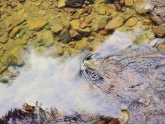 -溪口-滕头旅游景区