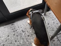 -萌兽医馆·绝育·24小时内科·宠物医院(德胜店)