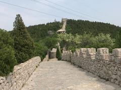 -原山国家森林公园