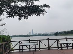 -海珠湖公园