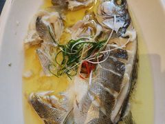 -名人名家     浙菜.家宴