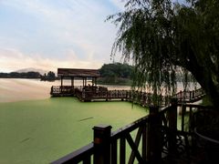 -上海市保健医疗中心(华东疗养院)