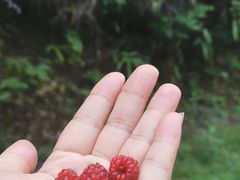 -黄瓜箐温泉疗养院
