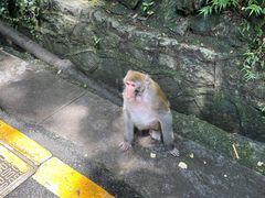 -黔灵山公园