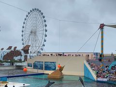 -秦皇岛乐岛海洋王国