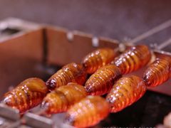 蚕蛹串-白玉·朝鲜族烤串(南山店)