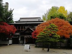 -水前寺成趣园