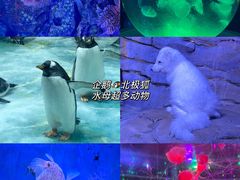 -正佳极地海洋世界