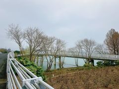 -贡湖湾湿地公园