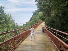 -少华山国家森林公园