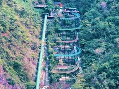 -温州永嘉书院