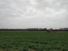 -汉长安城未央宫国家考古遗址公园