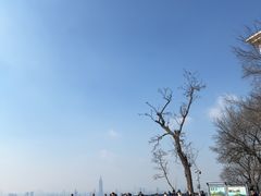 -紫金山天文台