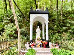 -上海佘山国家森林公园西佘山园