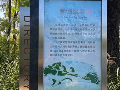-翠湖国家城市湿地公园