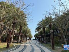 -马銮湾景区