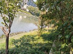 -聚鑫阁江浙菜·非遗传承技艺(闵行交大店)