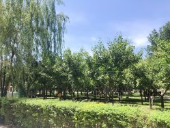 -上美四季动物农场