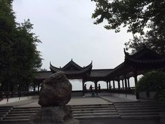 -枫林花海