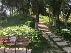 -黄村公园