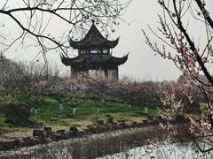 -上海海湾国家森林公园