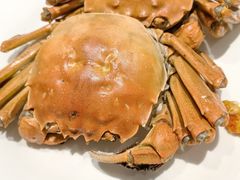 -青蓬海上捞蒸品海鲜城(海岸城店)
