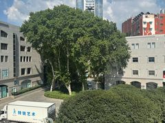 -湖北美术学院(昙华林校区)