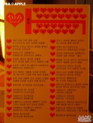 -DNA Wedding 婚礼记(上海店)