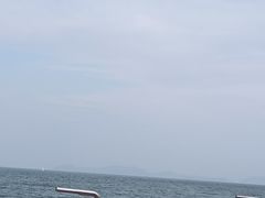 -杨梅坑