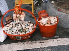 -三亚西岛海洋文化旅游区
