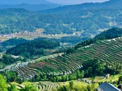 -紫鹊界梯田景区