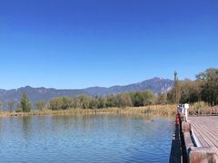 -野鸭湖国家湿地公园