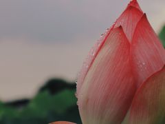 -嘉北郊野公园