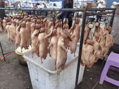 -牛头崖大集