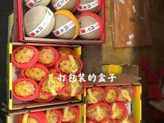 -新鸿港水果市场