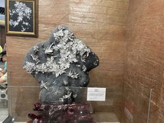 -贵州省地质博物馆