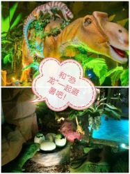 -恐龙探索乐园(磁器口店)